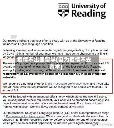 疫情不出国留学(因为疫情不去留学)-第3张图片