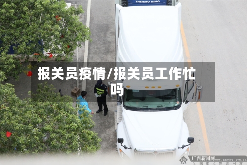 报关员疫情/报关员工作忙吗