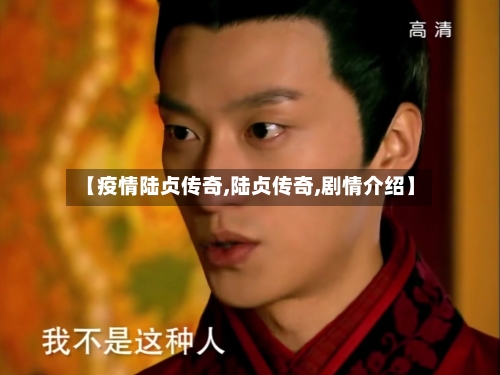 【疫情陆贞传奇,陆贞传奇,剧情介绍】