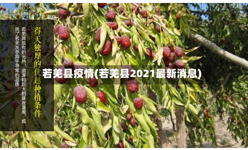若羌县疫情(若羌县2021最新消息)