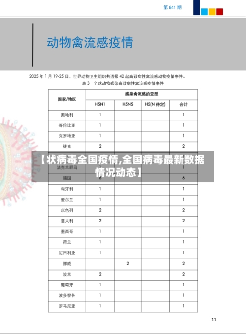 【状病毒全国疫情,全国病毒最新数据情况动态】-第3张图片