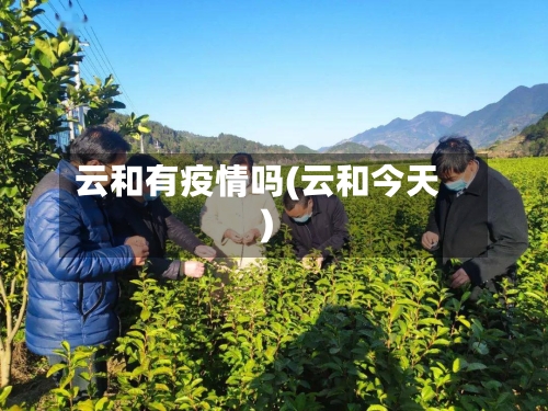 云和有疫情吗(云和今天)