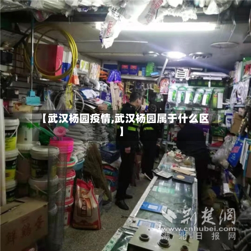【武汉杨园疫情,武汉杨园属于什么区】-第2张图片