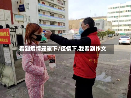 看到疫情笼罩下/疫情下,我看到作文-第2张图片