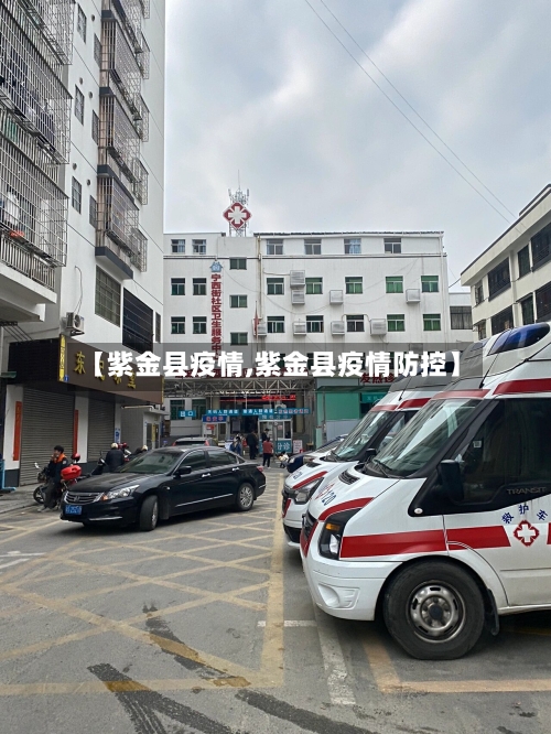 【紫金县疫情,紫金县疫情防控】-第3张图片