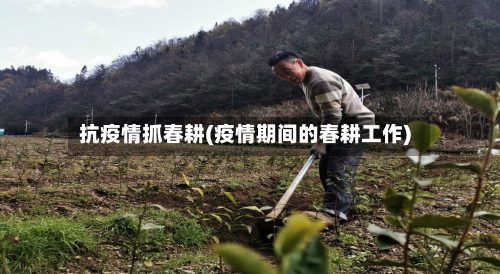 抗疫情抓春耕(疫情期间的春耕工作)-第2张图片