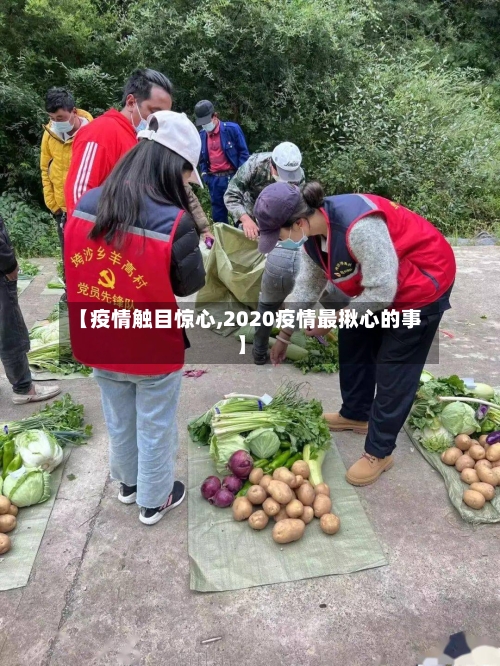 【疫情触目惊心,2020疫情最揪心的事】