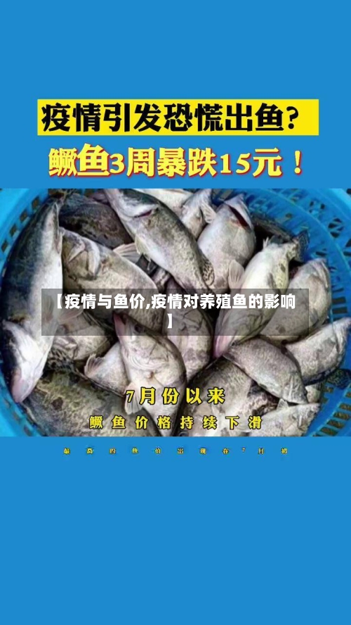 【疫情与鱼价,疫情对养殖鱼的影响】-第2张图片