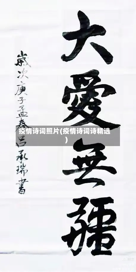 疫情诗词照片(疫情诗词诗精选)-第2张图片