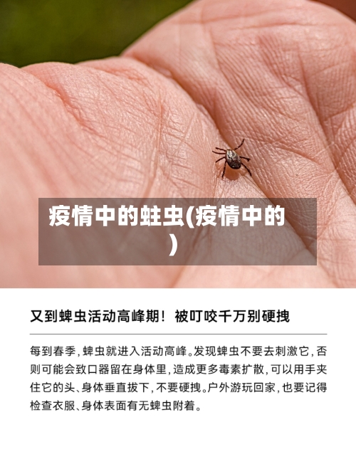 疫情中的蛀虫(疫情中的)-第3张图片