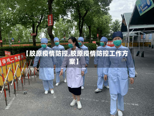 【胶原疫情防控,胶原疫情防控工作方案】