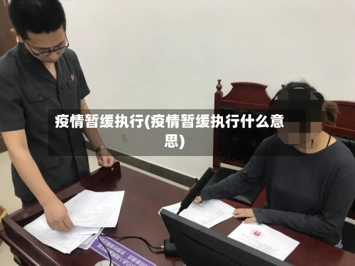 疫情暂缓执行(疫情暂缓执行什么意思)-第2张图片