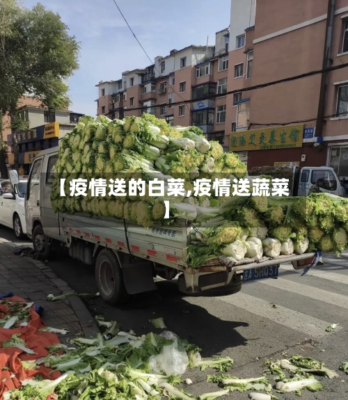 【疫情送的白菜,疫情送蔬菜】