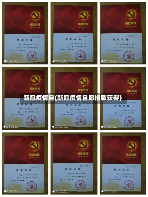 新冠疫情自(新冠疫情自愿捐款获得)-第2张图片