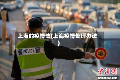 上海的疫情法(上海疫情处理办法)