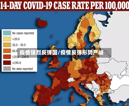 疫情强烈反弹国/疫情反弹形势严峻