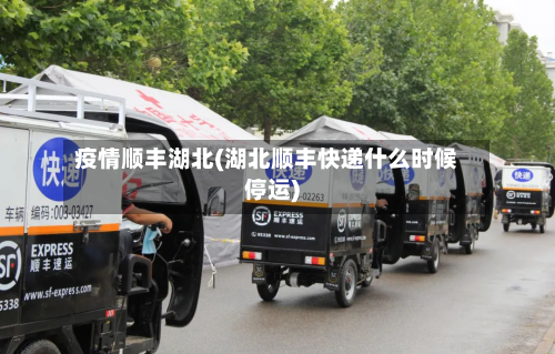 疫情顺丰湖北(湖北顺丰快递什么时候停运)