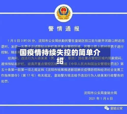 国疫情持续失控的简单介绍-第2张图片
