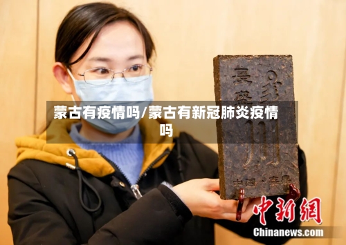 蒙古有疫情吗/蒙古有新冠肺炎疫情吗-第3张图片