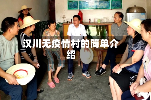 汉川无疫情村的简单介绍-第3张图片