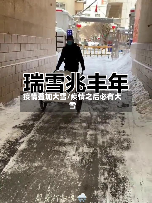 疫情叠加大雪/疫情之后必有大雪-第3张图片