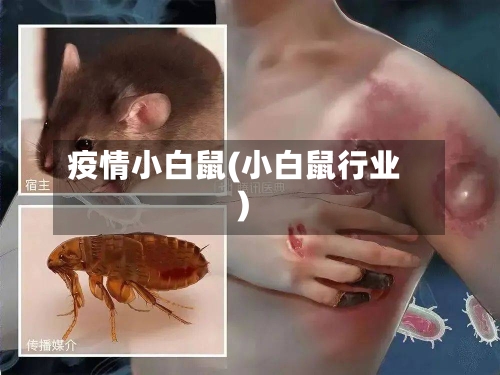 疫情小白鼠(小白鼠行业)-第3张图片