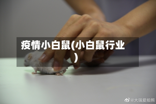 疫情小白鼠(小白鼠行业)-第2张图片