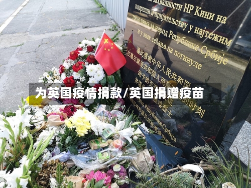 为英国疫情捐款/英国捐赠疫苗-第2张图片