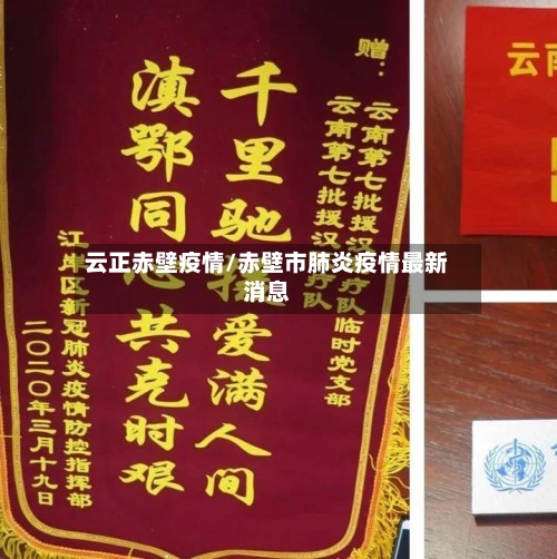 云正赤壁疫情/赤壁市肺炎疫情最新消息-第3张图片