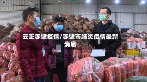云正赤壁疫情/赤壁市肺炎疫情最新消息-第2张图片