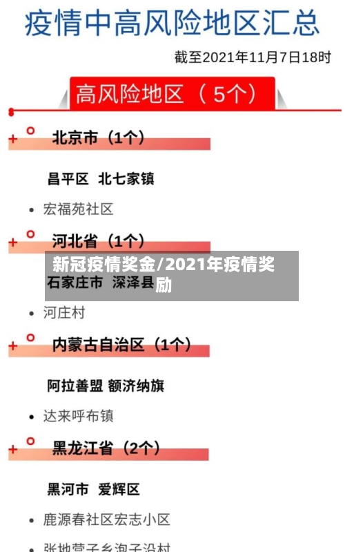 新冠疫情奖金/2021年疫情奖励