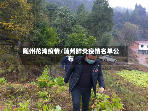 随州花湾疫情/随州肺炎疫情名单公布-第2张图片