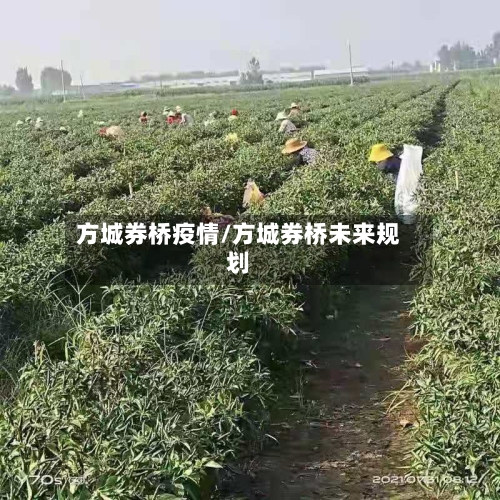 方城券桥疫情/方城券桥未来规划