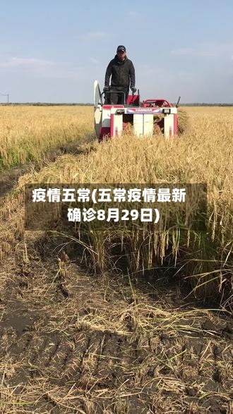 疫情五常(五常疫情最新确诊8月29日)-第2张图片