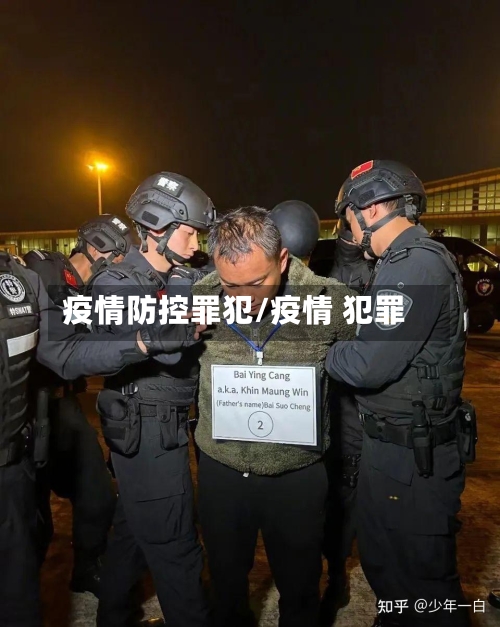疫情防控罪犯/疫情 犯罪