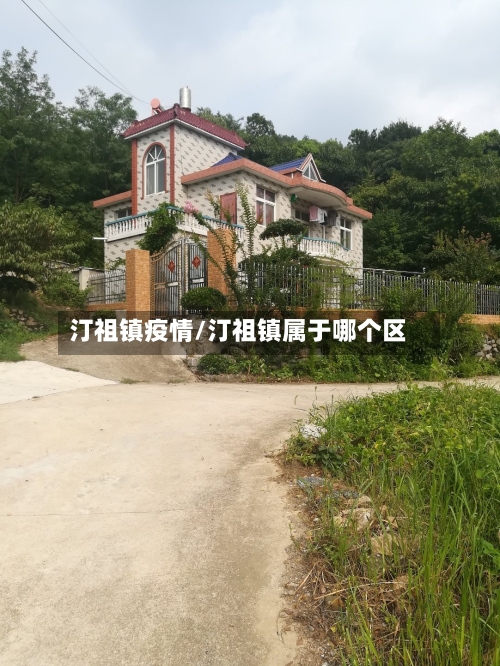 汀祖镇疫情/汀祖镇属于哪个区-第2张图片