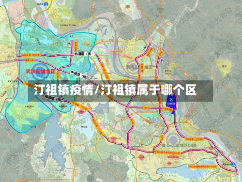 汀祖镇疫情/汀祖镇属于哪个区
