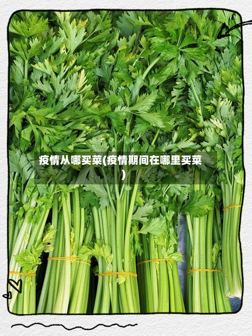 疫情从哪买菜(疫情期间在哪里买菜)-第2张图片