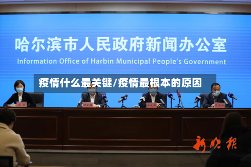 疫情什么最关键/疫情最根本的原因