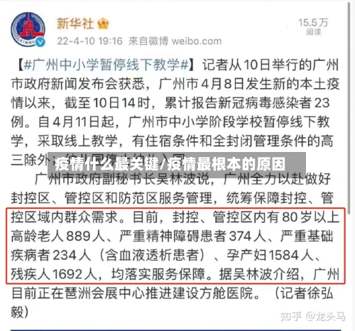 疫情什么最关键/疫情最根本的原因-第2张图片