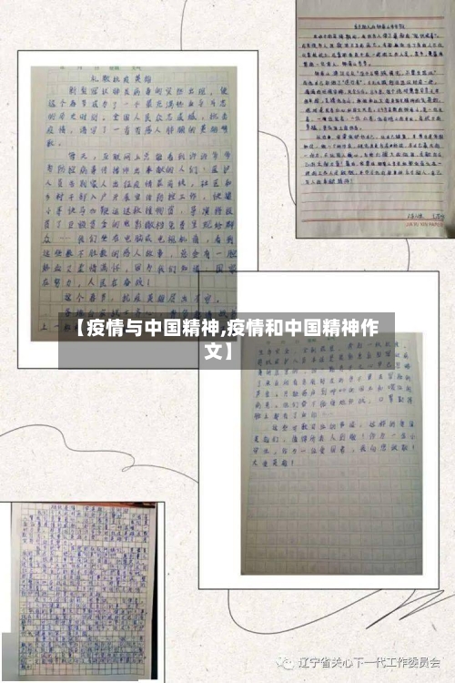 【疫情与中国精神,疫情和中国精神作文】-第2张图片