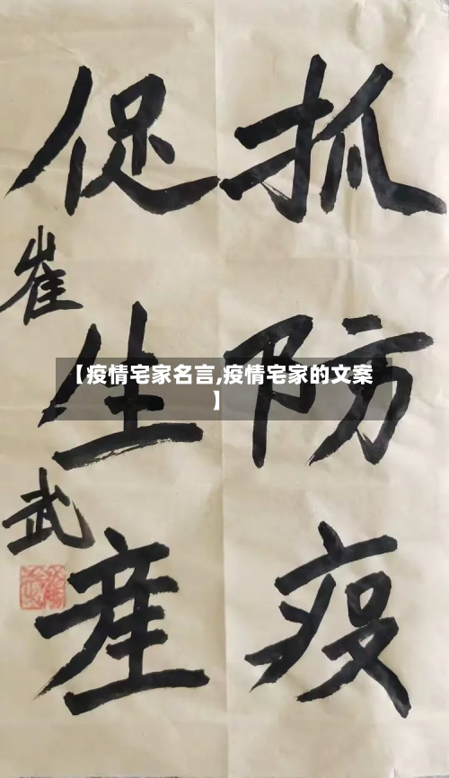 【疫情宅家名言,疫情宅家的文案】-第2张图片