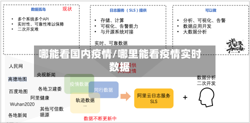 哪能看国内疫情/哪里能看疫情实时数据-第2张图片