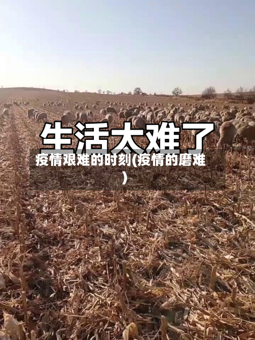 疫情艰难的时刻(疫情的磨难)