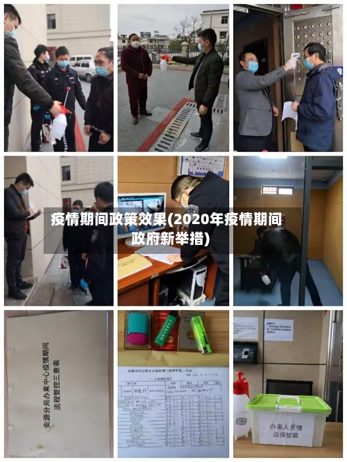 疫情期间政策效果(2020年疫情期间政府新举措)-第3张图片