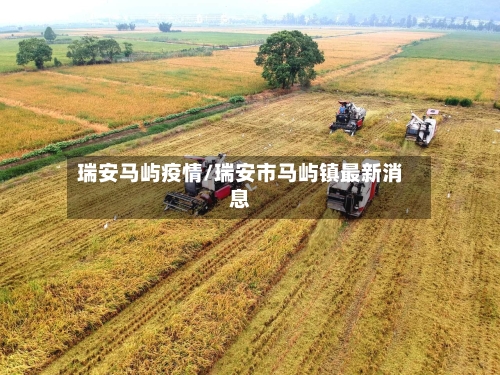 瑞安马屿疫情/瑞安市马屿镇最新消息