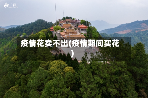 疫情花卖不出(疫情期间买花)