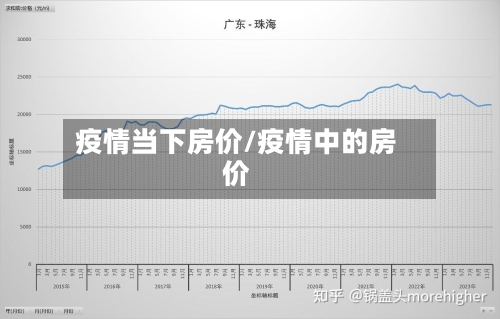 疫情当下房价/疫情中的房价