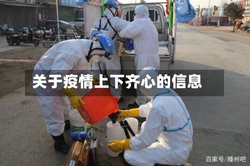 关于疫情上下齐心的信息-第3张图片