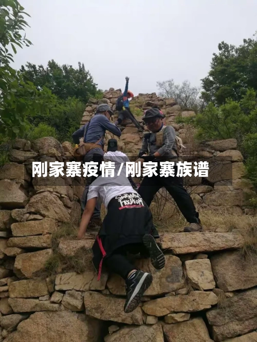 刚家寨疫情/刚家寨族谱
